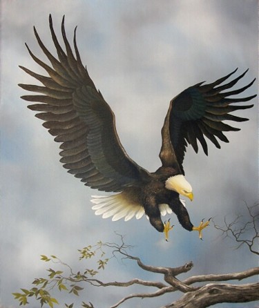 Painting titled "American Bald Eagle" by Jerry Sauls, Original Artwork, Oil