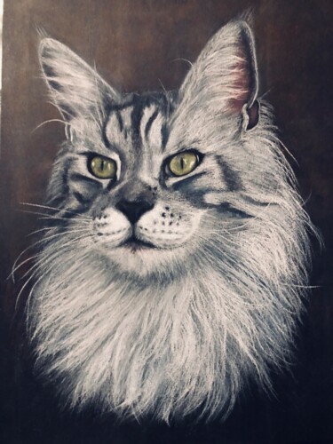 Drawing titled "Newton the Maine Co…" by Jess.C.Art, Original Artwork, Pastel
