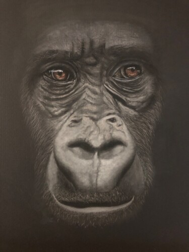 Disegno intitolato "Gorille" da Jess.C.Art, Opera d'arte originale, Pastello