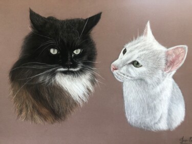 Dessin intitulée "Casper & Babouche" par Jess.C.Art, Œuvre d'art originale, Pastel