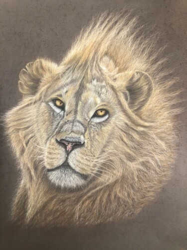 Zeichnungen mit dem Titel "Lion wildlife" von Jess.C.Art, Original-Kunstwerk, Pastell