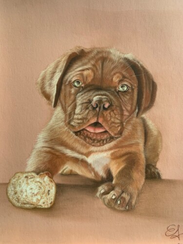 Drawing titled "Chiot dogue de bord…" by Jess.C.Art, Original Artwork, Pastel