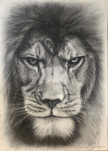 Tekening getiteld "Portrait Lion N&B" door Jess.C.Art, Origineel Kunstwerk, Houtskool