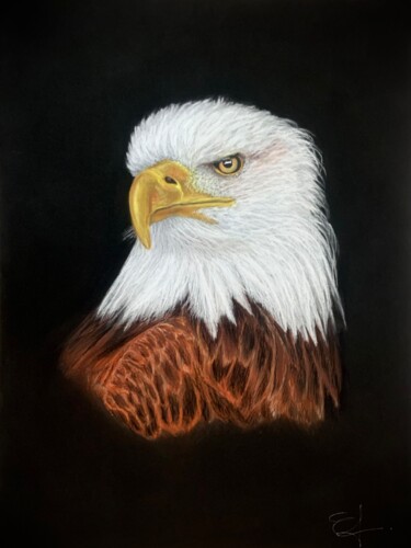 Dibujo titulada "American eagle 🦅" por Jess.C.Art, Obra de arte original, Pastel