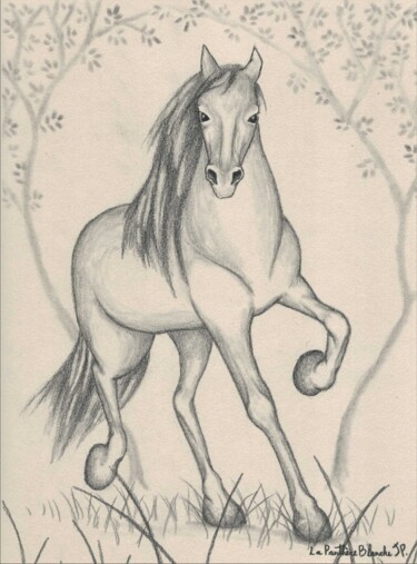 Drawing titled "Libre !" by Jessie Poitras (La Panthère Blanche JP), Original Artwork, Pencil