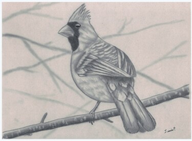 Drawing titled "Cardinal" by Jessie Poitras (La Panthère Blanche JP), Original Artwork, Pencil Mounted on Cardboard