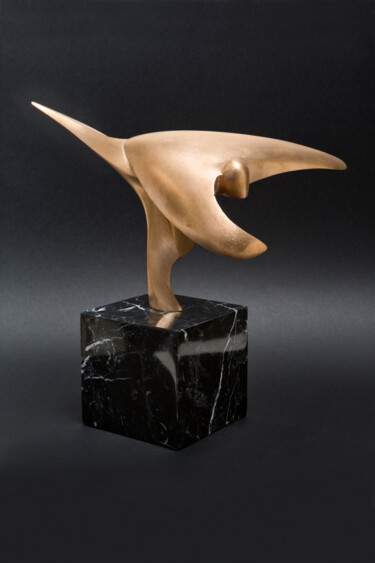 Sculpture titled "Patinaje" by Jesús (Xuxo) Vazquez, Original Artwork, Bronze