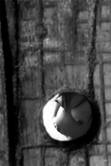 Photography titled "door ball" by Jetro Rafael, Original Artwork