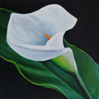 Painting titled "Calla Flower" by Jevika, Original Artwork, Oil