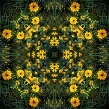 Digital Arts titled "Yellow Daisies" by Julie Grace, Original Artwork, 2D Digital Work
