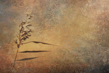 Fotografie mit dem Titel "Gras im Wind" von Jgs, Original-Kunstwerk, Manipulierte Fotografie