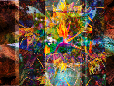 Collages intitulée "Desert Flowers" par Jhpba, Œuvre d'art originale, Collages