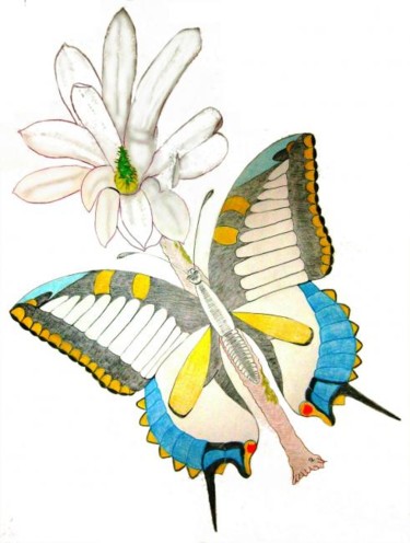 Dessin intitulée "Papillon" par Jean-Jacques Gomez, Œuvre d'art originale, Autre