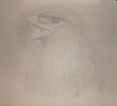 Dessin intitulée "L'Aigle" par Jean-Jacques Gomez, Œuvre d'art originale, Autre