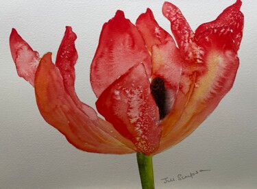 Pittura intitolato "Red Tulip" da Jill Correale Jill Simpson, Opera d'arte originale, Acquarello
