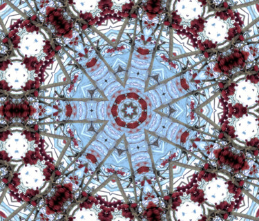 Digital Arts titled "Iced Cranberries Ma…" by Jill Annette Johnson, Original Artwork, 2D Digital Work