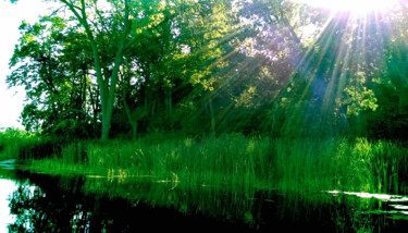 Photographie intitulée "Fishing Magic from…" par Jill Annette Johnson, Œuvre d'art originale, Photographie non manipulée