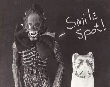 Fotografia intitolato "SMILE SPOT" da Jim Williams, Opera d'arte originale, fotografia a pellicola