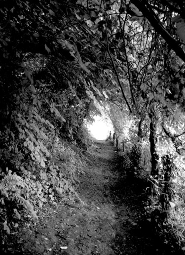 Photography titled "English tunnel walk" by Jim Williams, Original Artwork, Digital Photography
