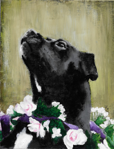 Schilderij getiteld "black-dog" door Jim Fischer, Origineel Kunstwerk, Olie