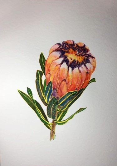 Painting titled "protea-neriifolia" by Jing Tian, Original Artwork, Watercolor