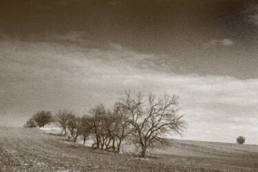 Fotografia intitulada "Krajina 002" por Jiří Srna, Obras de arte originais, Fotografia digital