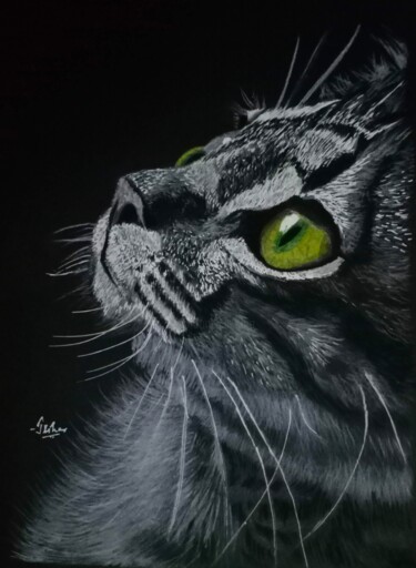 Рисунок под названием "Like cats' eyes gle…" - Jisha Rishad, Подлинное произведение искусства, Древесный уголь