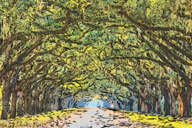 Digital Arts titled "Tree Covered Lane" by Jack Cash Jr, Original Artwork