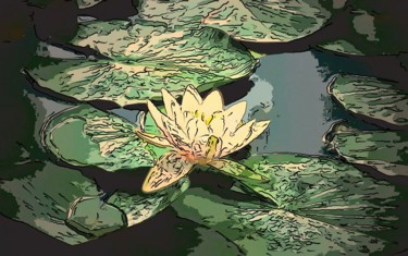Digital Arts titled "Water Lilly On A Po…" by Jack Cash Jr, Original Artwork