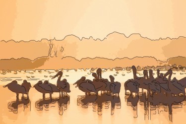Digital Arts titled "Pelicans" by Jack Cash Jr, Original Artwork, Digital Painting