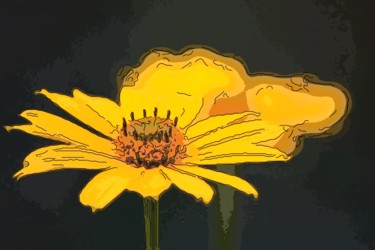 Digital Arts titled "Yellow Flower" by Jack Cash Jr, Original Artwork, Digital Painting