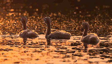 Digital Arts titled "Ducks 3" by Jack Cash Jr, Original Artwork, Digital Painting