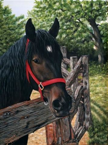 Painting titled "Mon ami le cheval" by Johanne K Dauphinais, Original Artwork