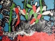 Photographie intitulée "Cactus" par Harry Jeanluc, Œuvre d'art originale