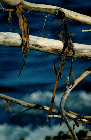 Photography titled "bois flotté" by Jean-Marc Angelini, Original Artwork