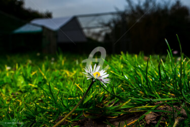 Photographie intitulée "Le printemps arrive" par Jean-Marc Dagois, Œuvre d'art originale, Photographie numérique