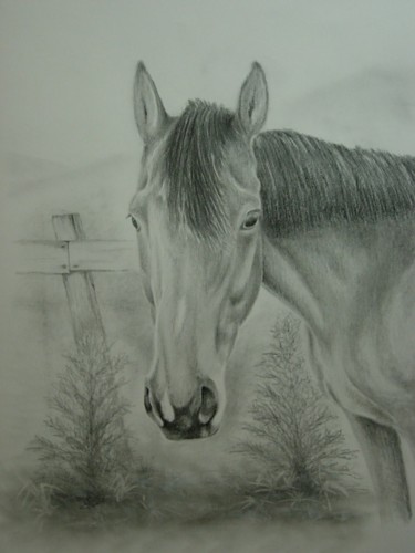 Peinture intitulée "cheval (crayon de p…" par Jmmixt, Œuvre d'art originale