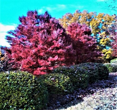 Photography titled "5 AUTUMN, GEORGIA U…" by Jmsbell, Original Artwork, Non Manipulated Photography