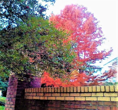 Photography titled "7 AUTUMN, GEORGIA U…" by Jmsbell, Original Artwork, Non Manipulated Photography