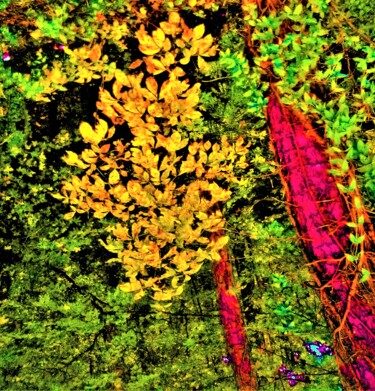 Photography titled "(4)FALL PRELUDE, US…" by Jmsbell, Original Artwork, Manipulated Photography