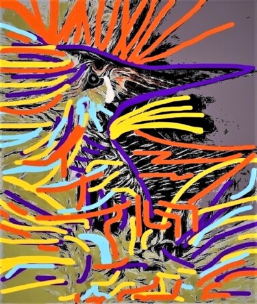 Arts numériques intitulée "A BIRD  1102" par Jmsbell, Œuvre d'art originale, Travail numérique 2D