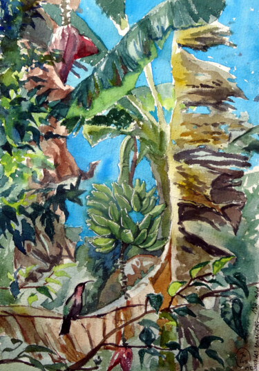 Malerei mit dem Titel "Under Banana Leaf" von Joachim Rossignol, Original-Kunstwerk, Aquarell