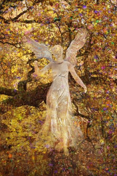 Digitale Kunst mit dem Titel "Angel C12" von Jialba, Original-Kunstwerk, Digitale Fotografie