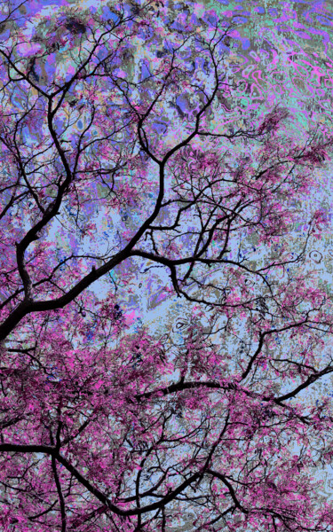 Digital Arts titled "Spring 21" by Jialba, Original Artwork, Digital Photography