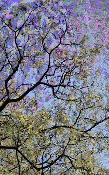 Arts numériques intitulée "Spring 20" par Jialba, Œuvre d'art originale, Photographie numérique