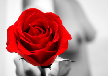 Fotografía titulada "La rosa roja" por Joan Llado, Obra de arte original, Fotografía digital