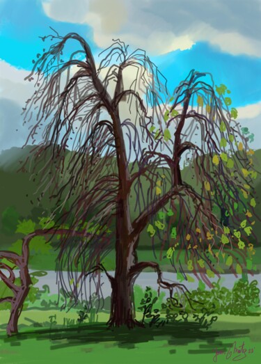 Digitale Kunst mit dem Titel "Old pear tree" von Joan Mato, Original-Kunstwerk, Digitale Malerei