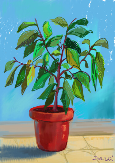 Digitale Kunst mit dem Titel "Ficus plant" von Joan Mato, Original-Kunstwerk, Digitale Malerei