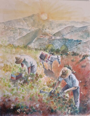 Pintura intitulada "Vendimia" por Joana Bisquert Mari, Obras de arte originais, Aquarela Montado em Armação em madeira