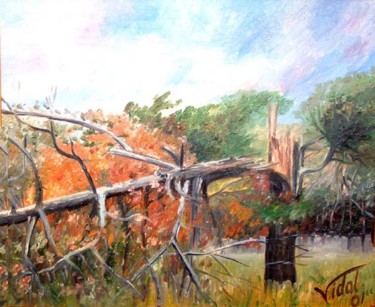 Pintura titulada "arbre_caigut.JPG" por Joan Anton Vidal Planells, Obra de arte original